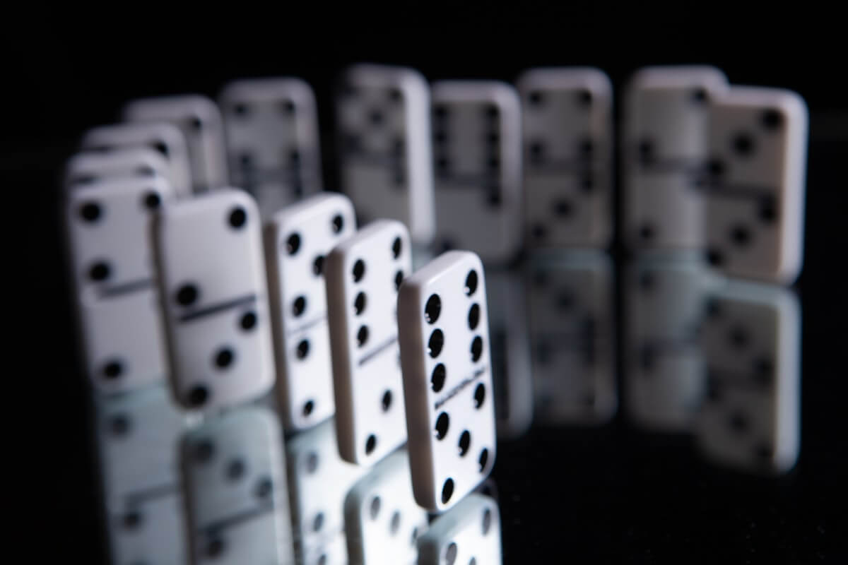 Party Pot App Review & Download Guide